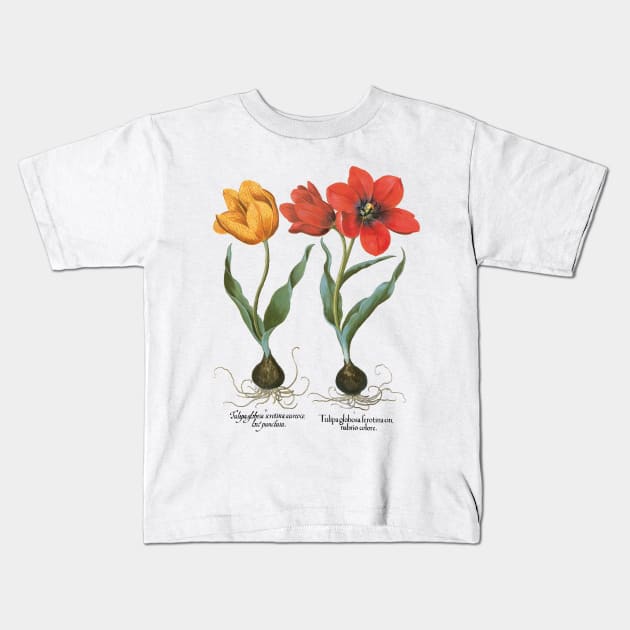 Tulips by Basilius Besler Kids T-Shirt by MasterpieceCafe